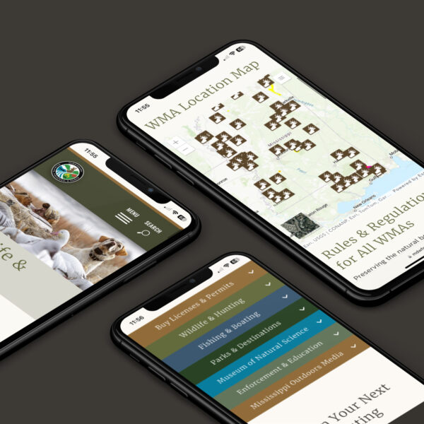 Mississippi Department of Wildlife, Fisheries, and Parks website on mobile phones